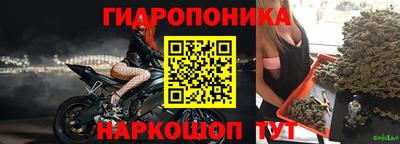 стаф Кимры