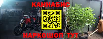 мдма Кингисепп