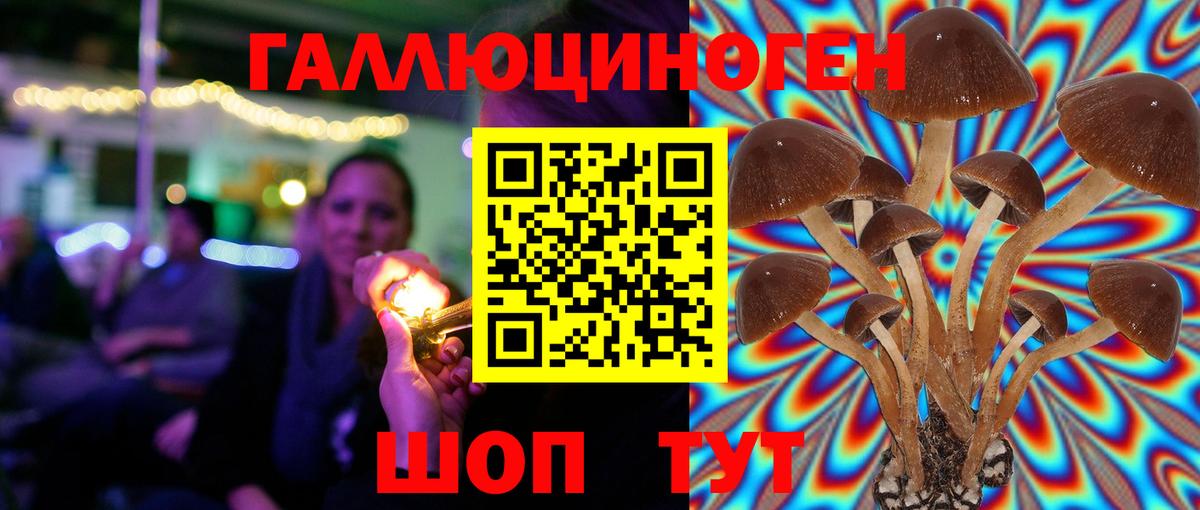 Галлюциногенные грибы Psilocybine cubensis Магадан