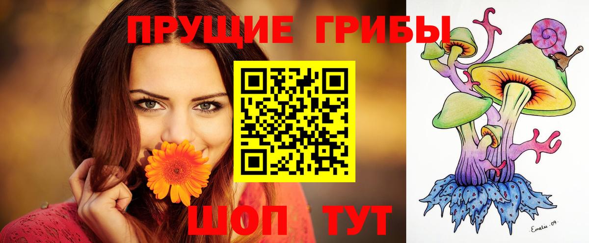 Магадан  Галлюциногенные грибы Magic Shrooms  Вход с VPN  Псилоцибиновые грибы ЛСД 